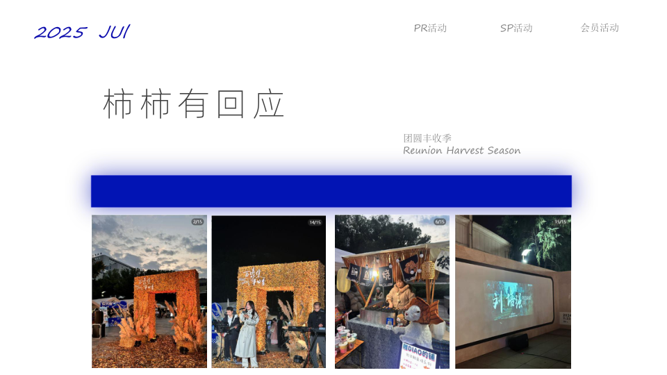 报告页面25