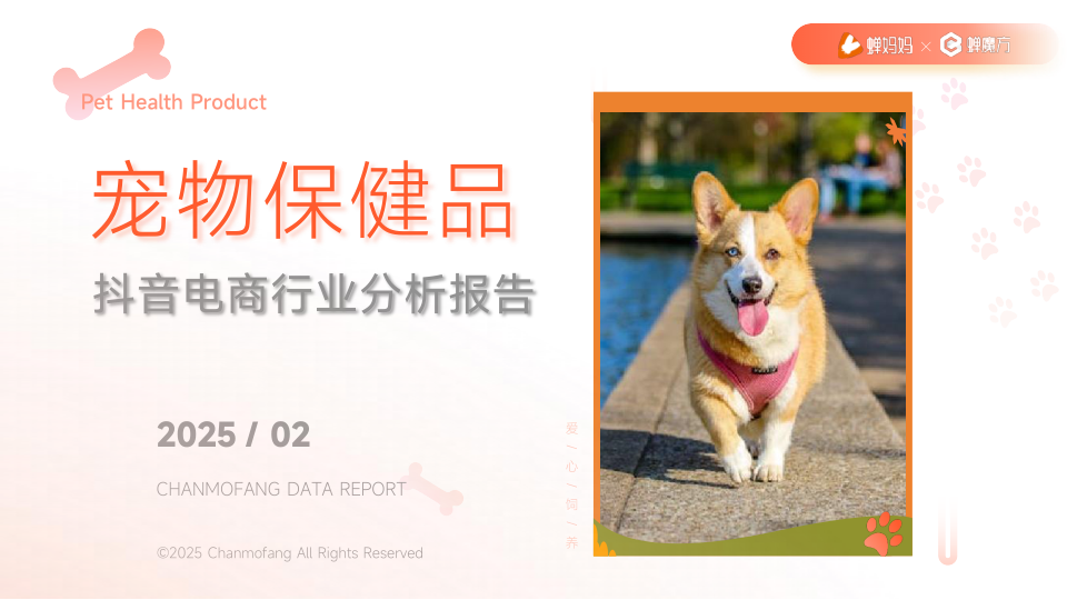 报告页面1