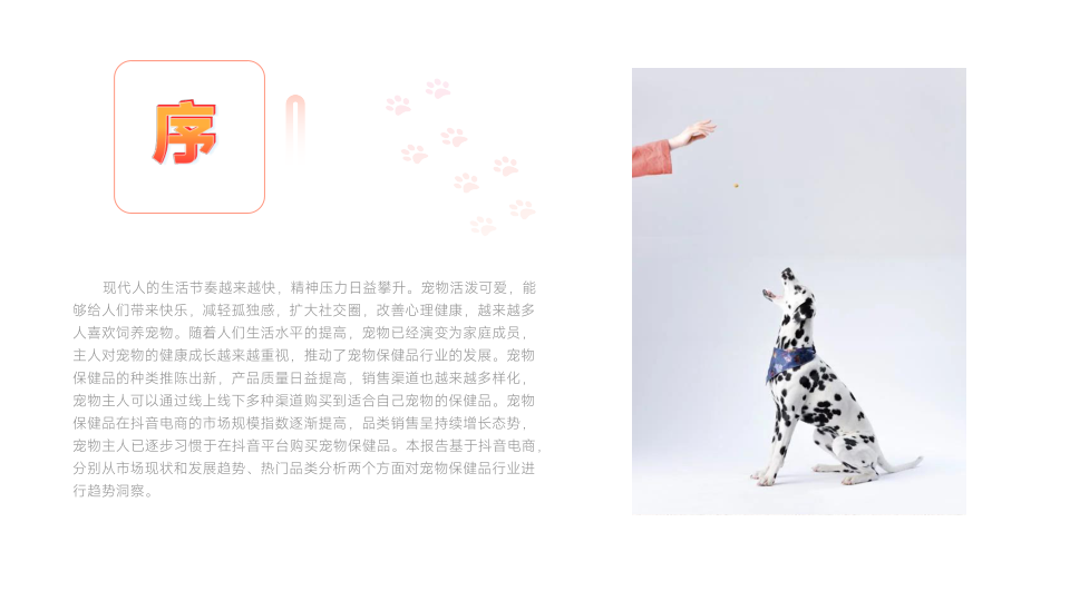 报告页面2