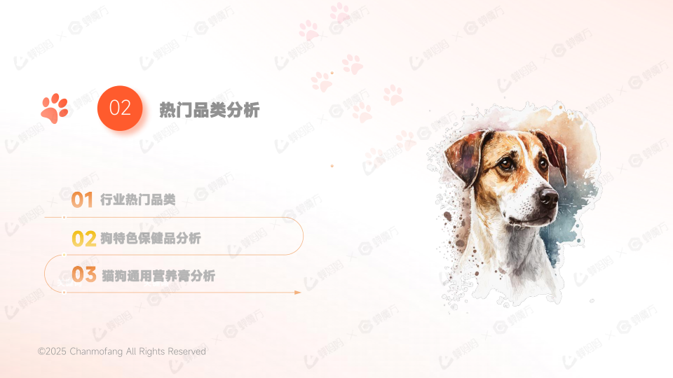 报告页面11