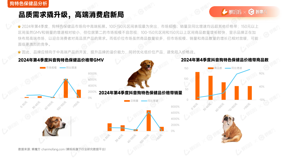 报告页面15