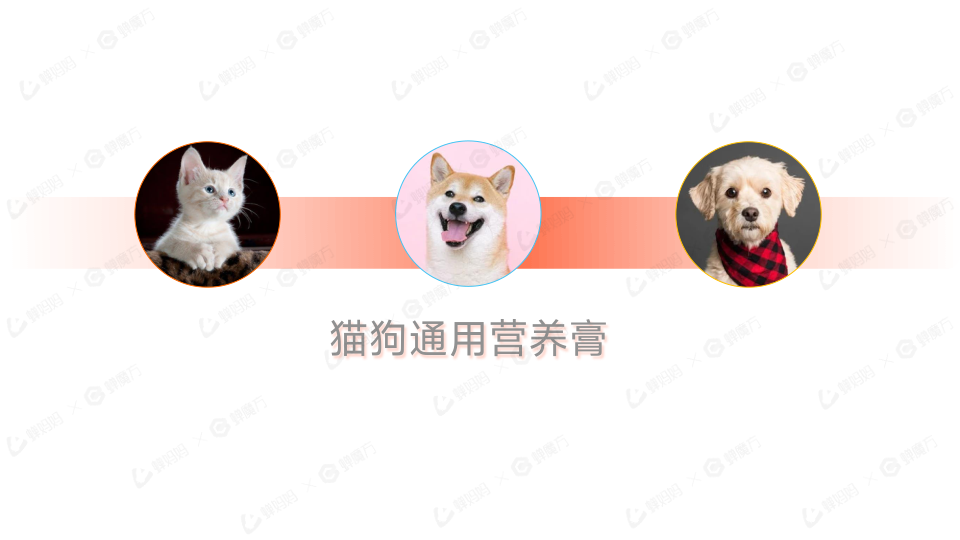 报告页面24