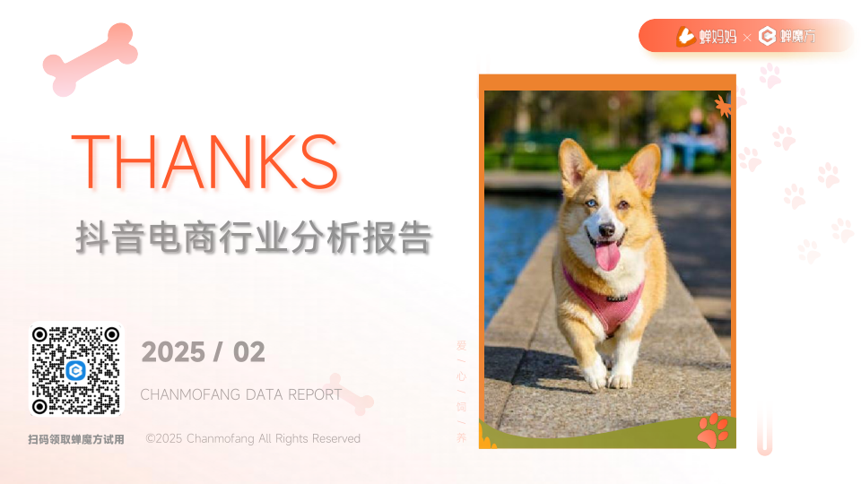 报告页面38