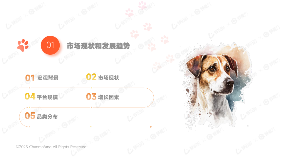 报告页面5