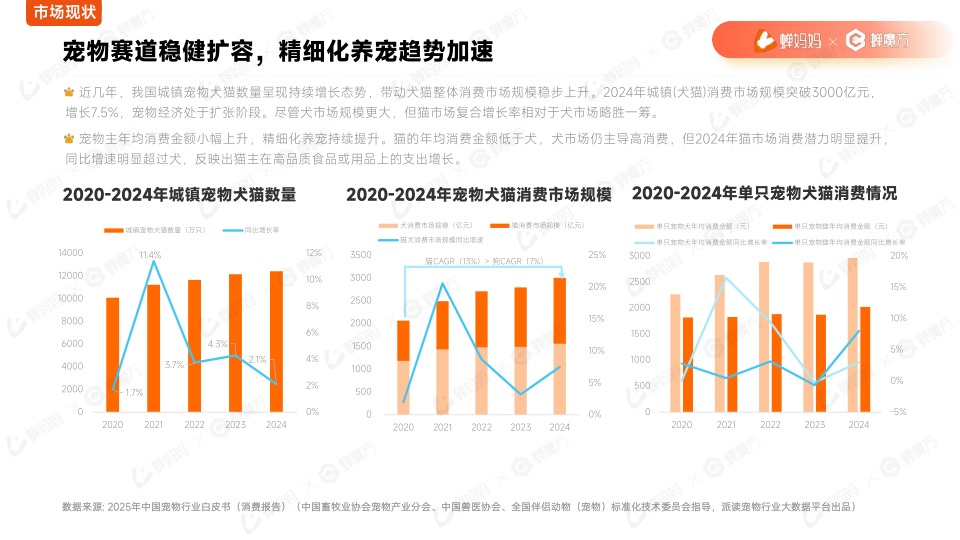报告页面7