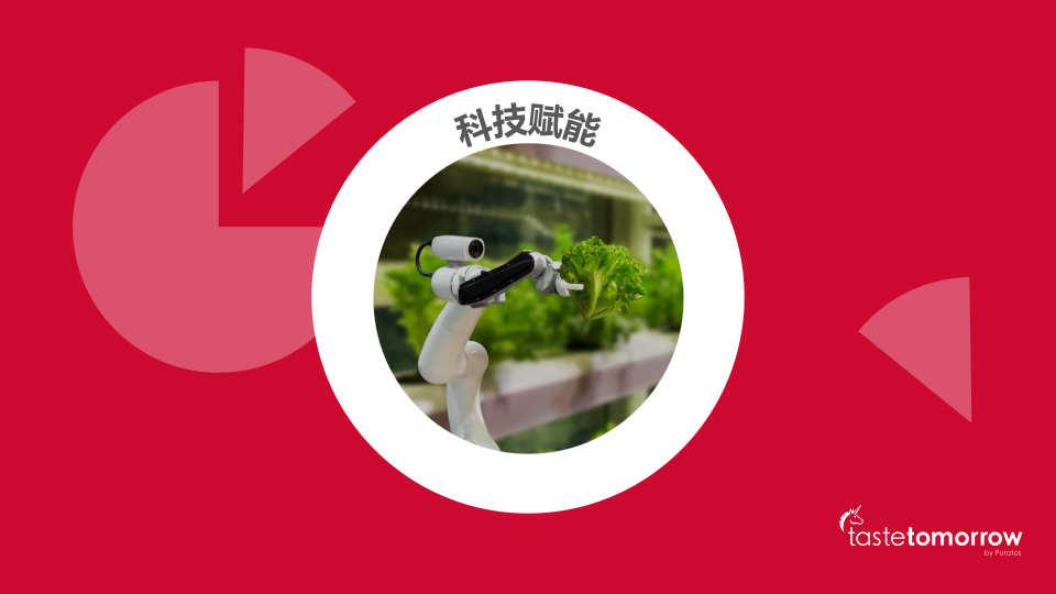 报告页面21