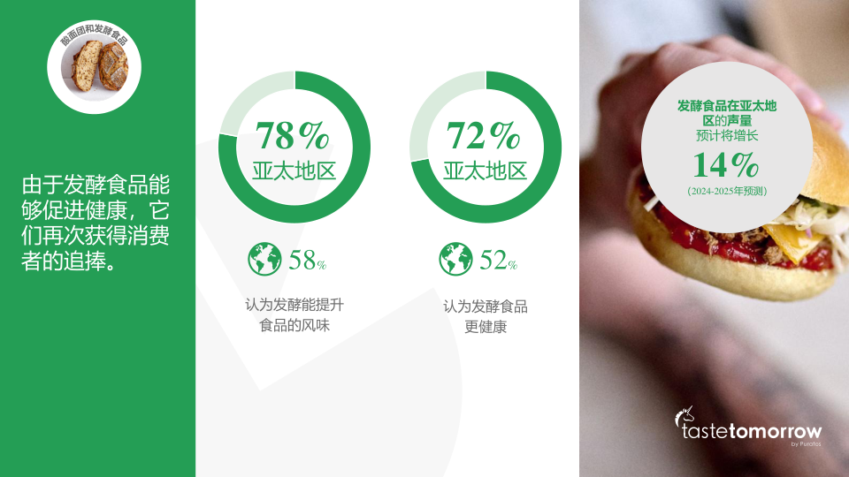报告页面51