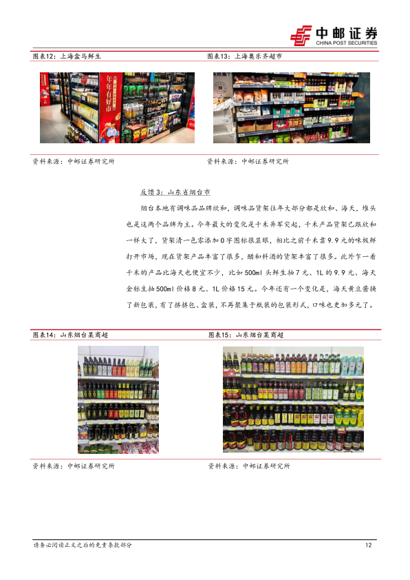 报告页面12