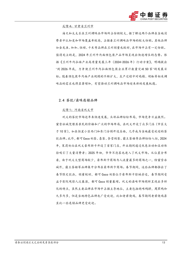 报告页面13