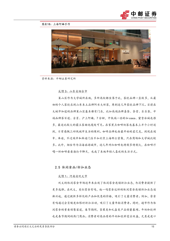 报告页面15