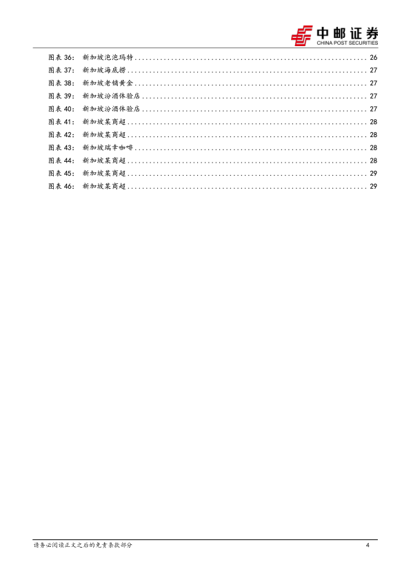 报告页面4