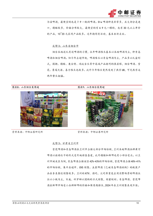 报告页面10