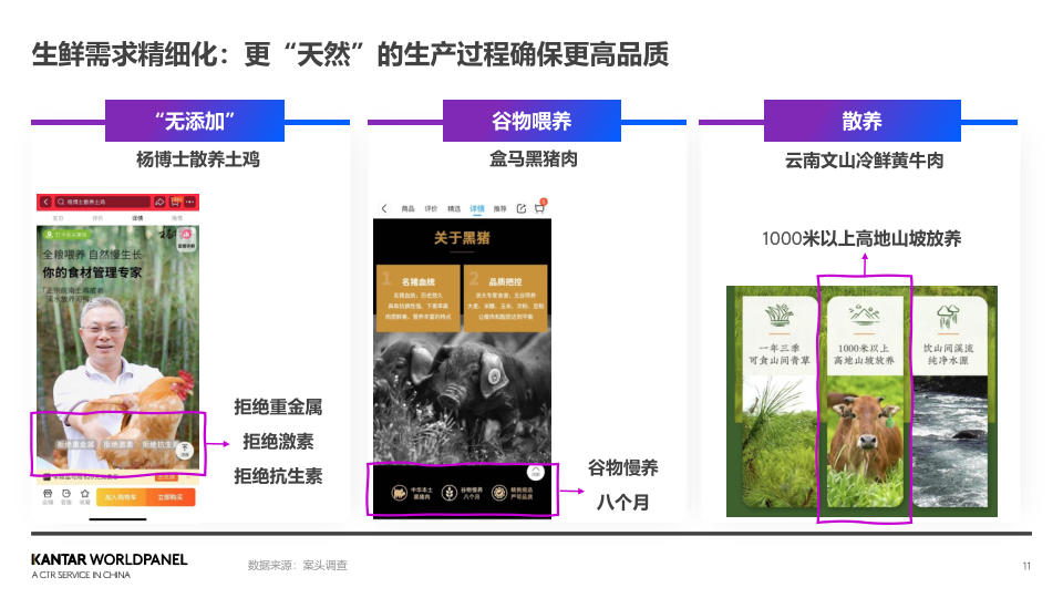 报告页面11