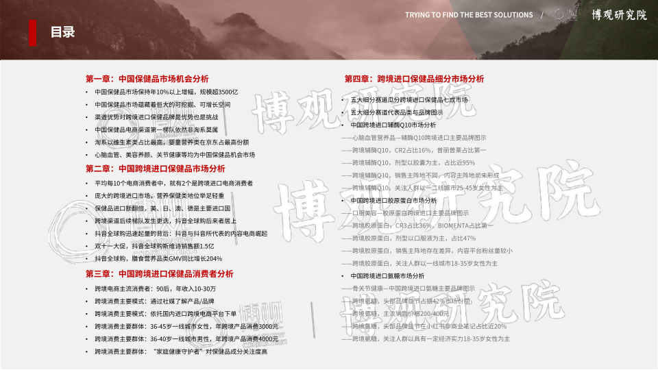 报告页面4