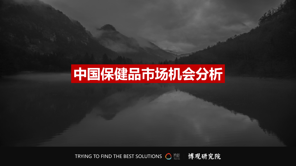报告页面5