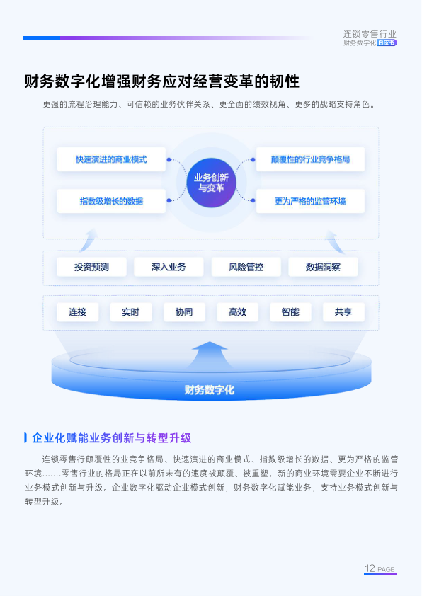报告页面13