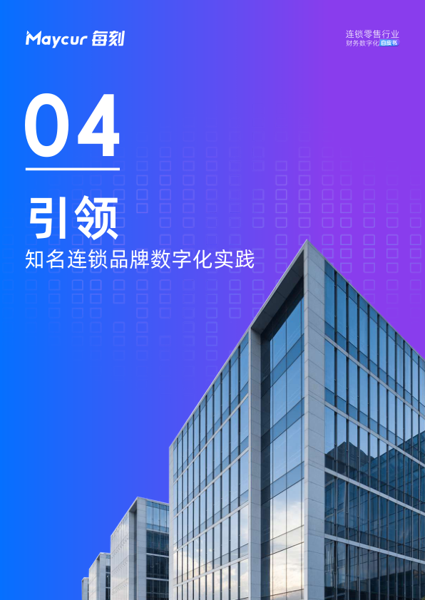 报告页面30