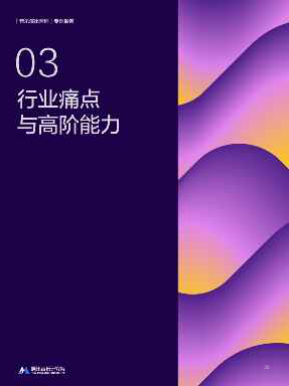 报告页面30