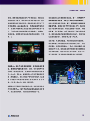 报告页面38