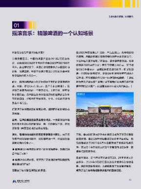 报告页面41