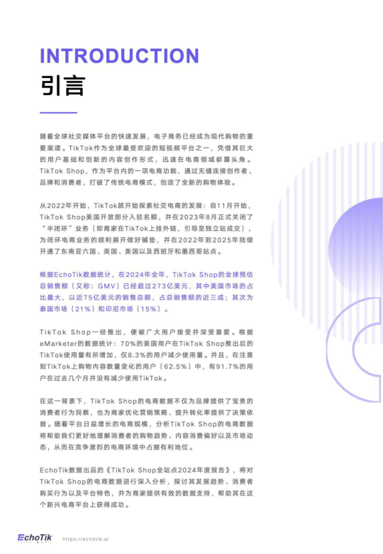报告页面4