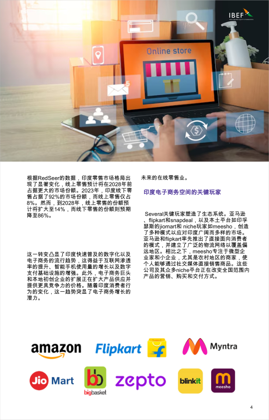 报告页面4