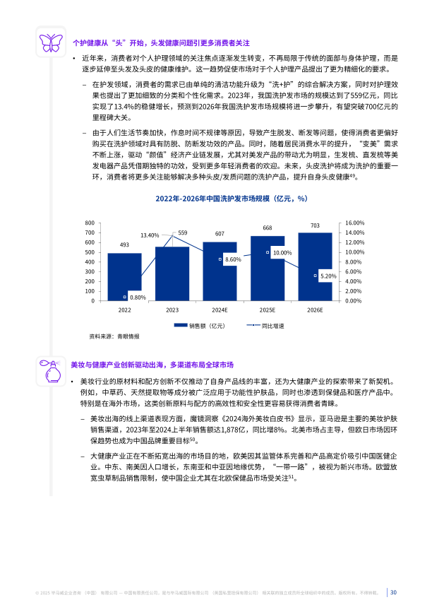 报告页面30