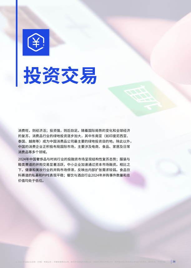 报告页面38