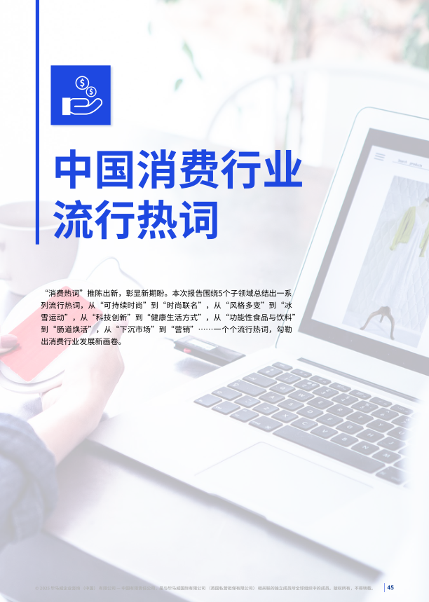 报告页面45