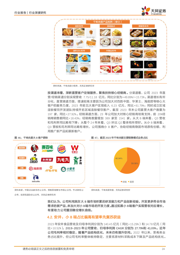 报告页面24