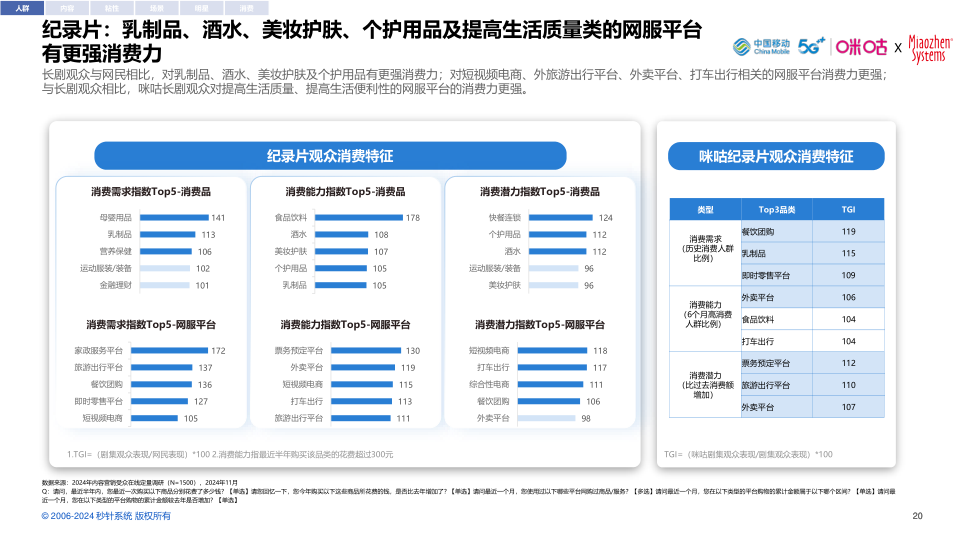 报告页面20