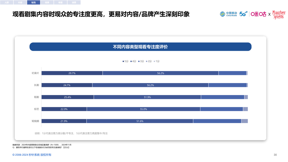 报告页面30