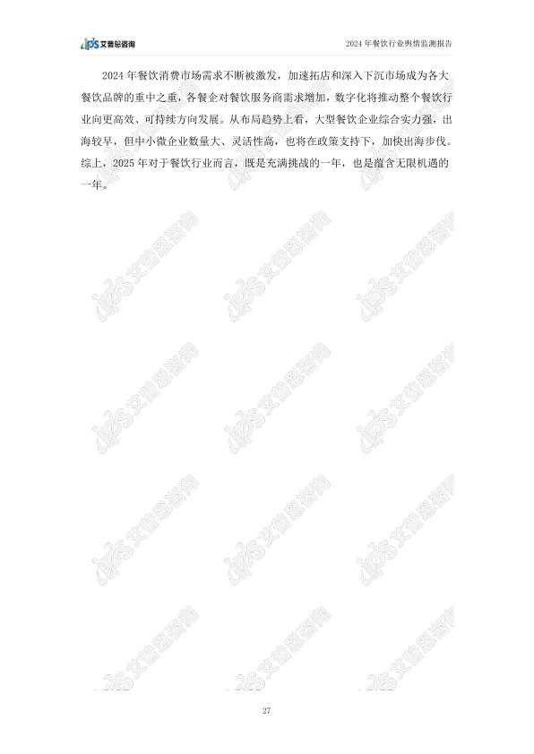 报告页面30