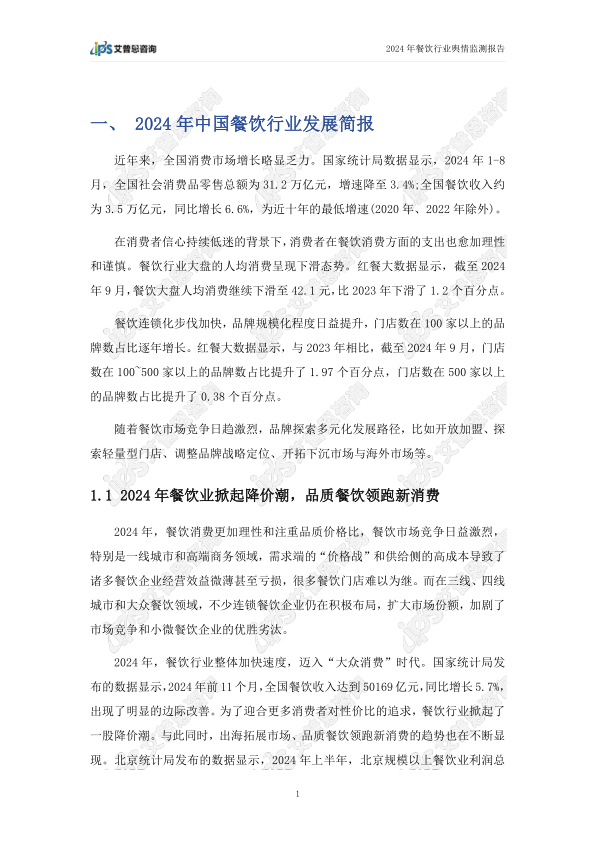 报告页面4