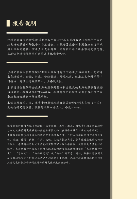 报告页面2