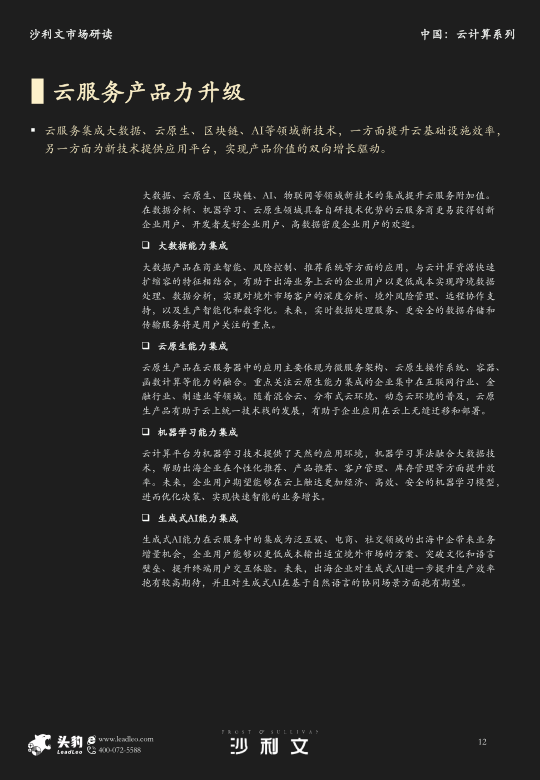 报告页面12