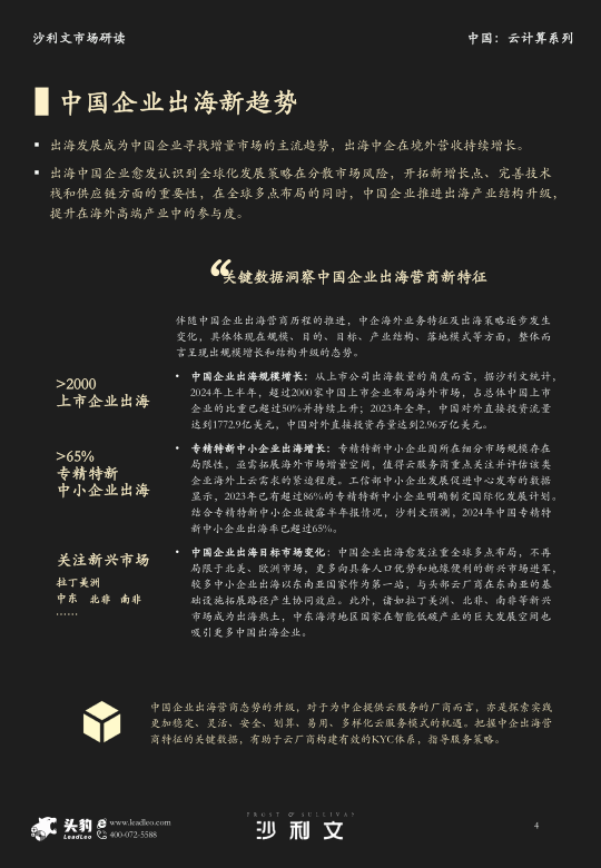 报告页面4