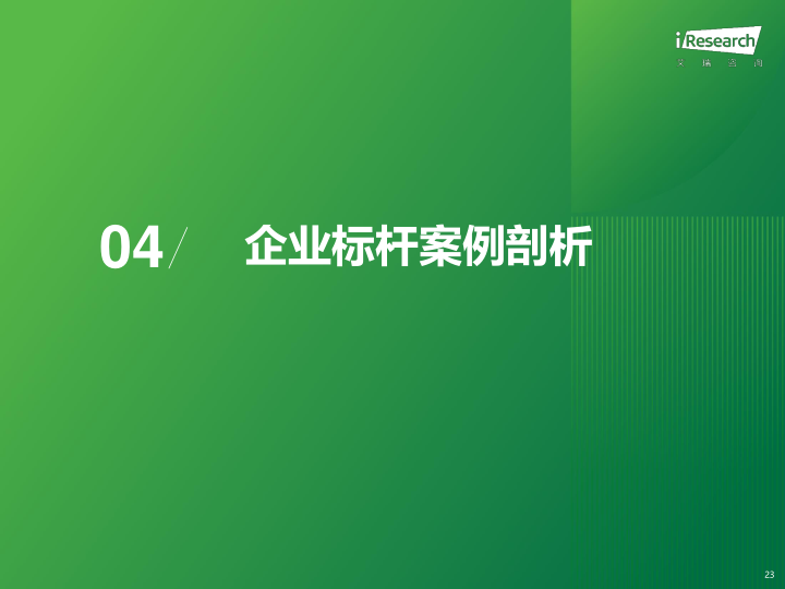 报告页面23