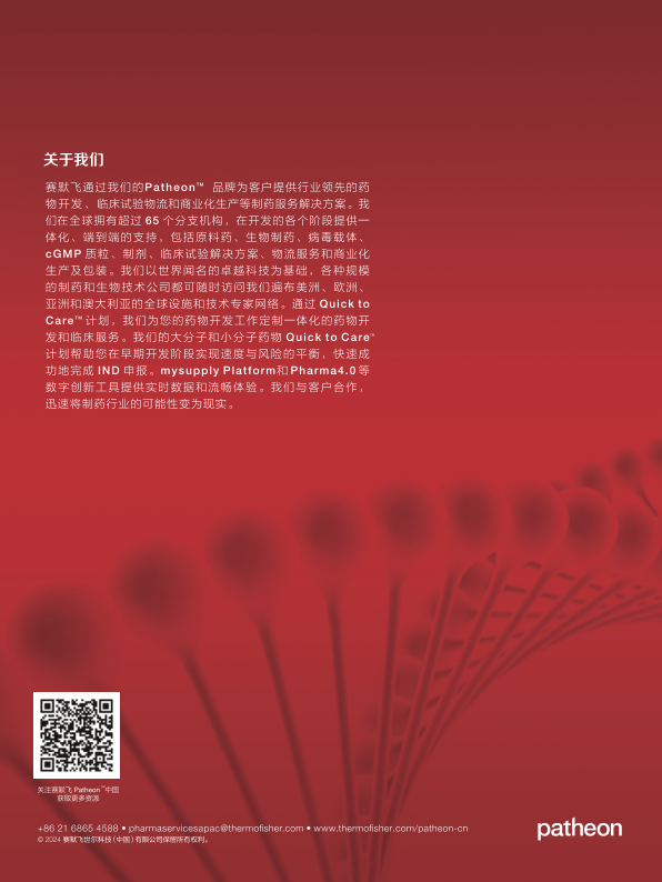 报告页面14