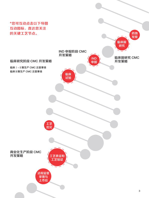 报告页面3