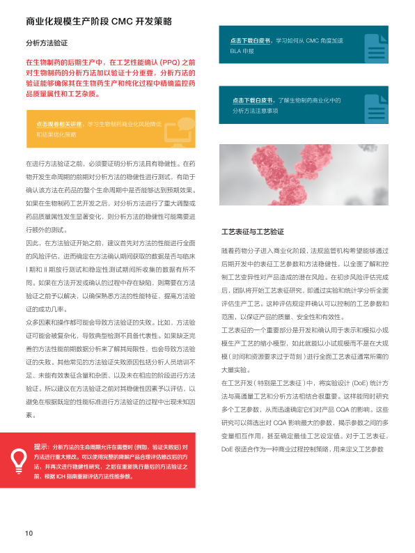 报告页面10