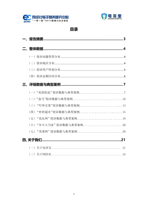 报告页面2