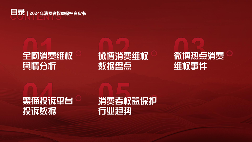 报告页面2