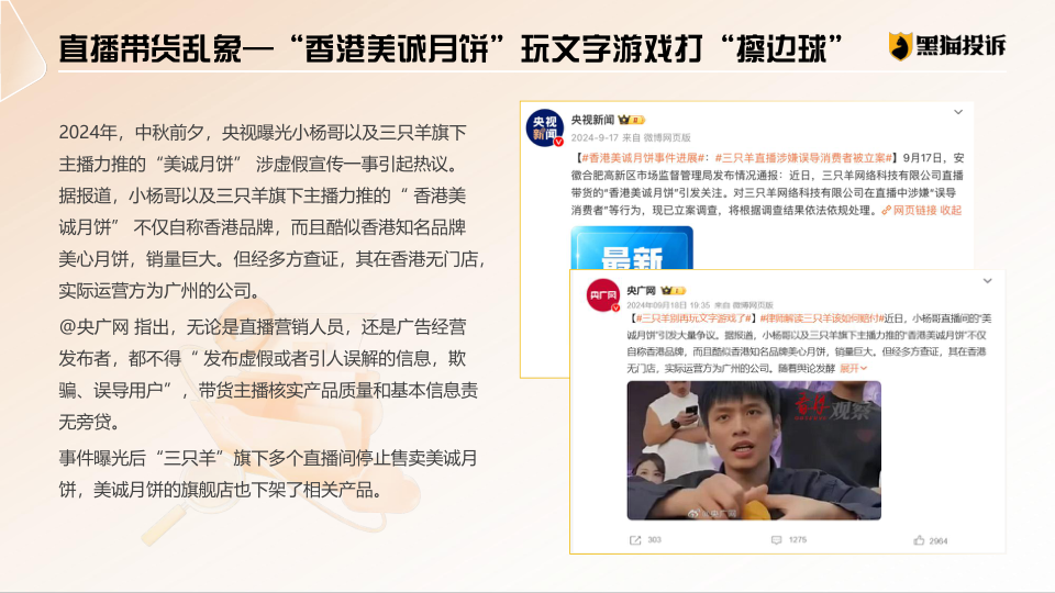 报告页面24
