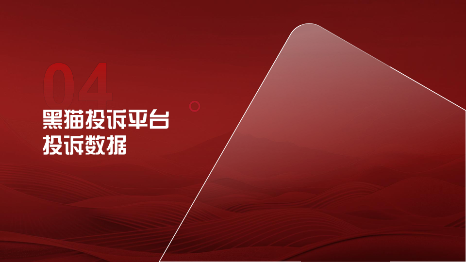 报告页面30