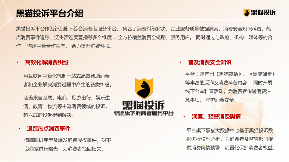 报告页面31