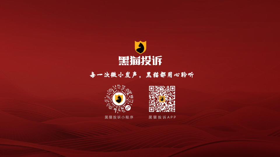 报告页面46