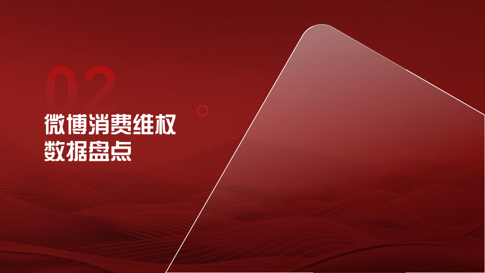 报告页面10