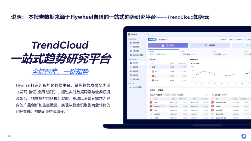 报告页面3