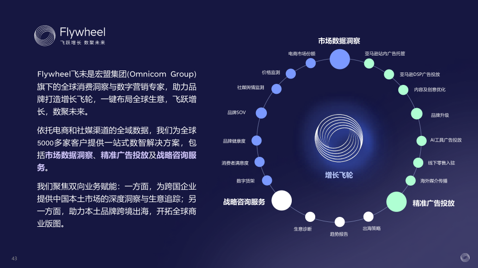 报告页面43